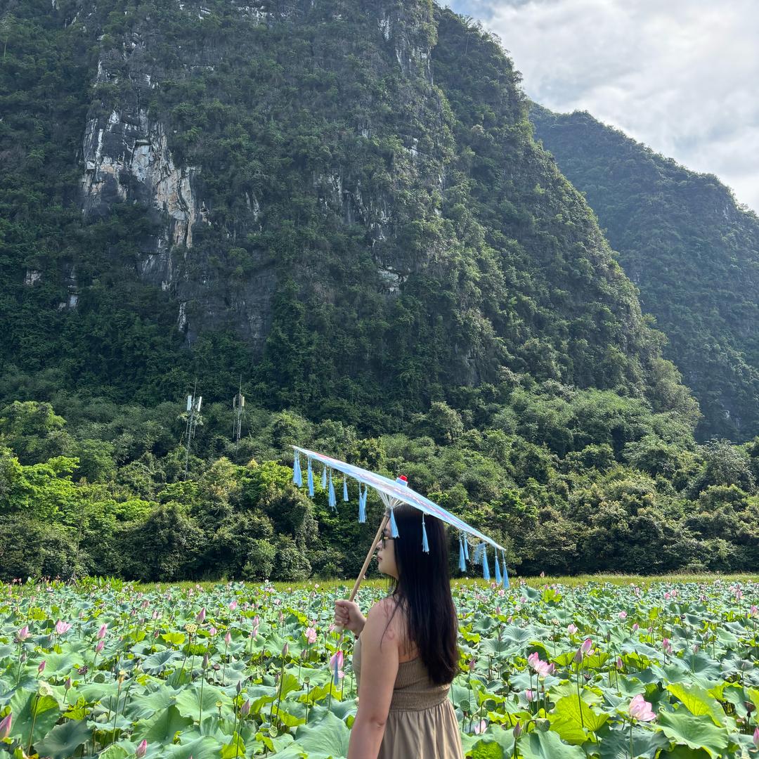 不吃大饼