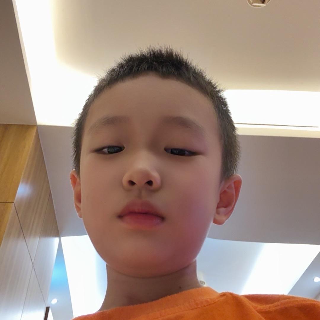 大鹏乌