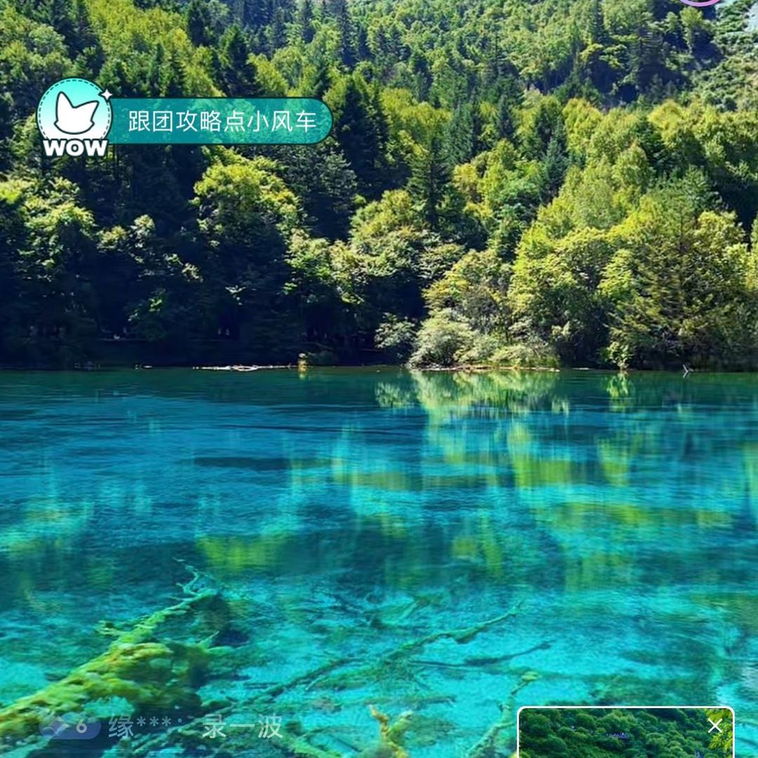 崔炳和