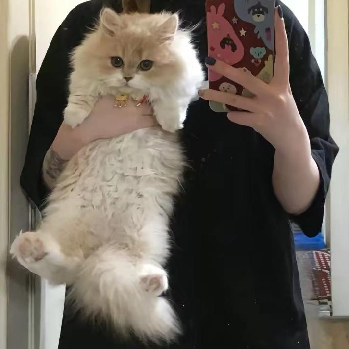 氧