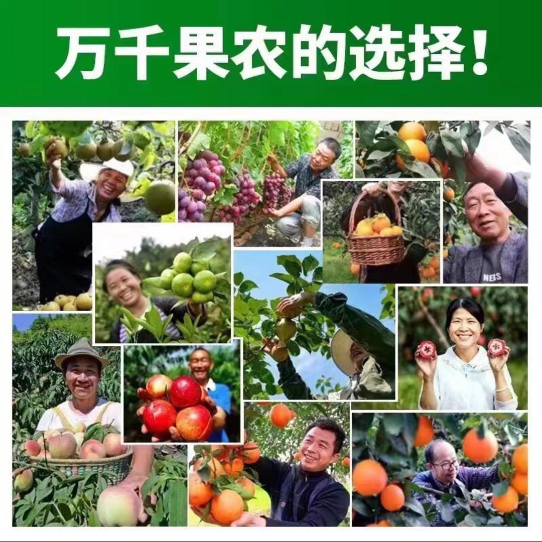 溢农种植(黄龙病黄化症专业顾问)