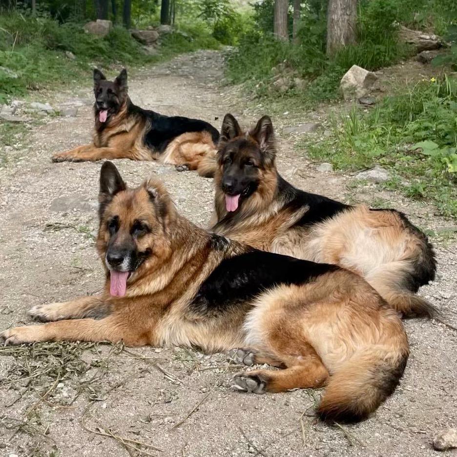 左耳～辛迪～卢卡斯