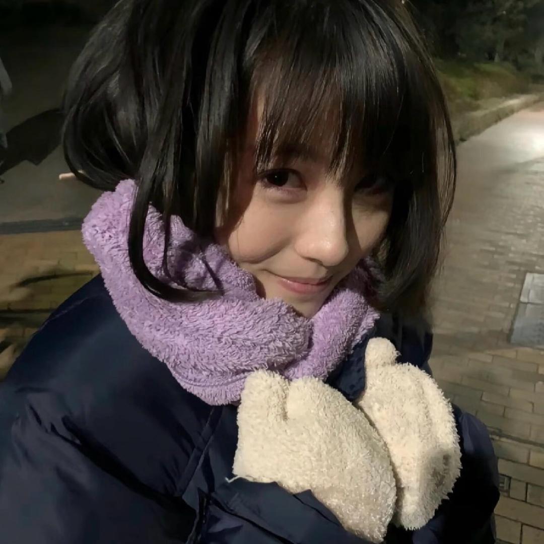 淡季水母