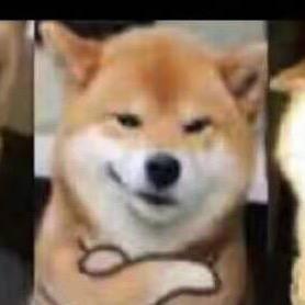 零下1度