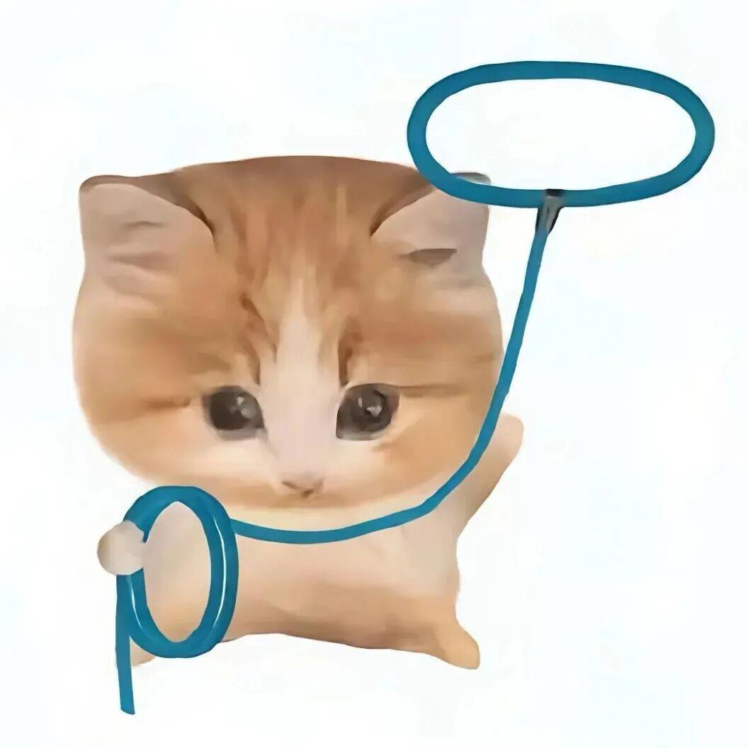 肯德基宅急宋