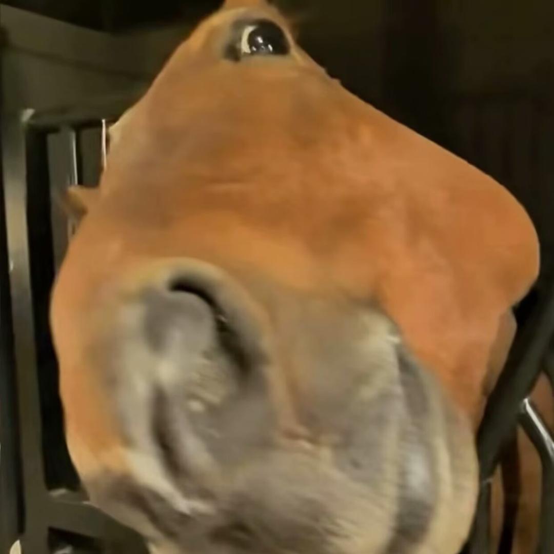 琳琅呀