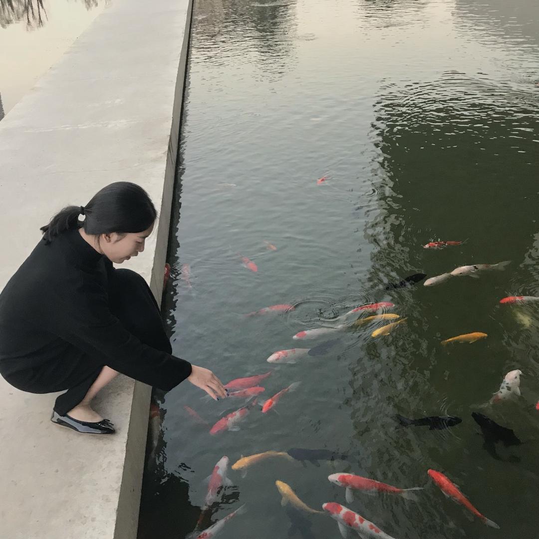王小树🌲