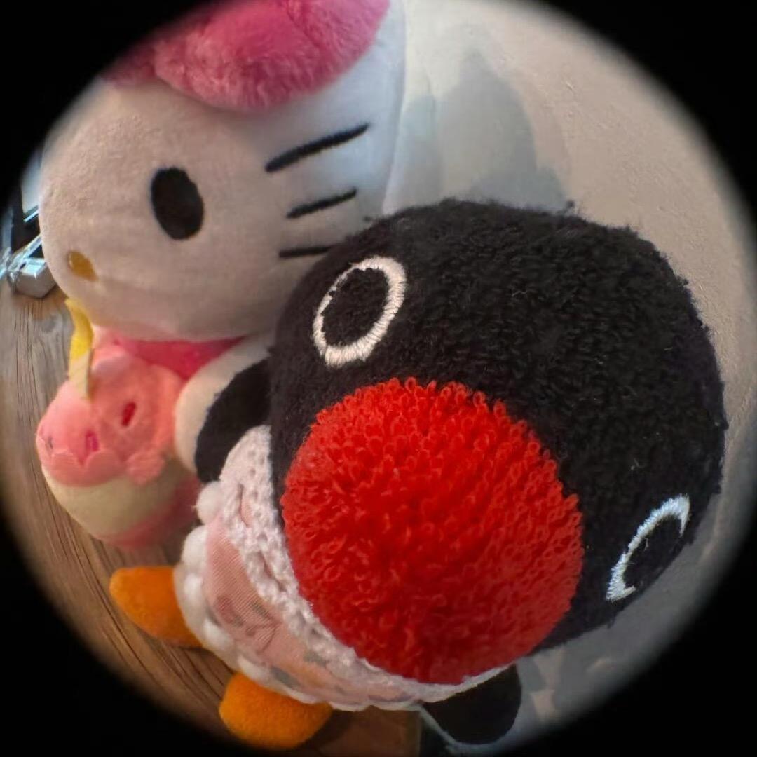 11🧸