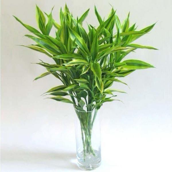 知心姐姐！！！☀️