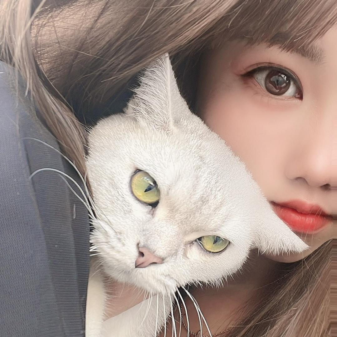 🌸ღ霞宝࿐