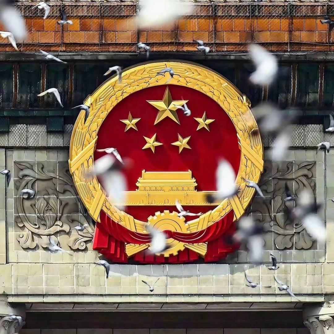 潘潘追光