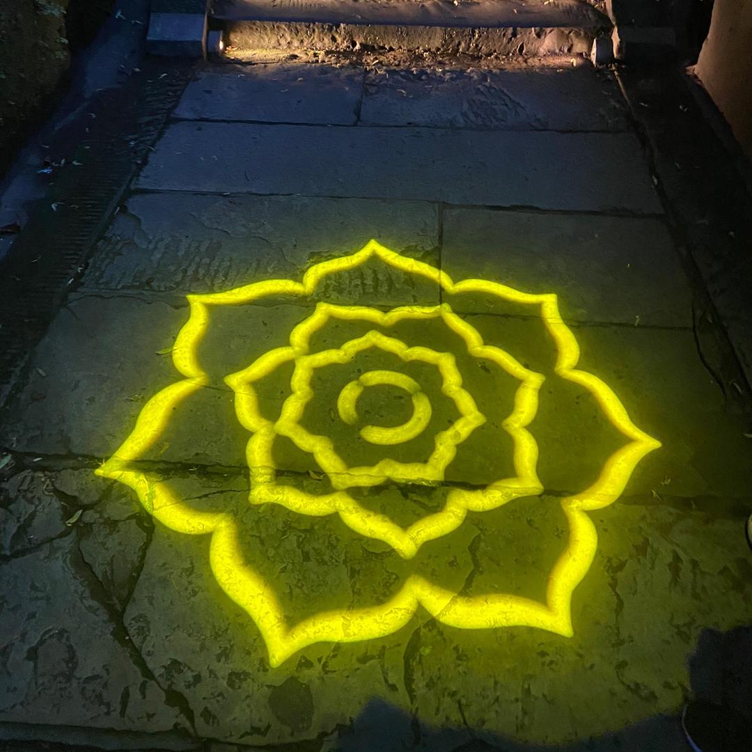 燈花.先森🎭