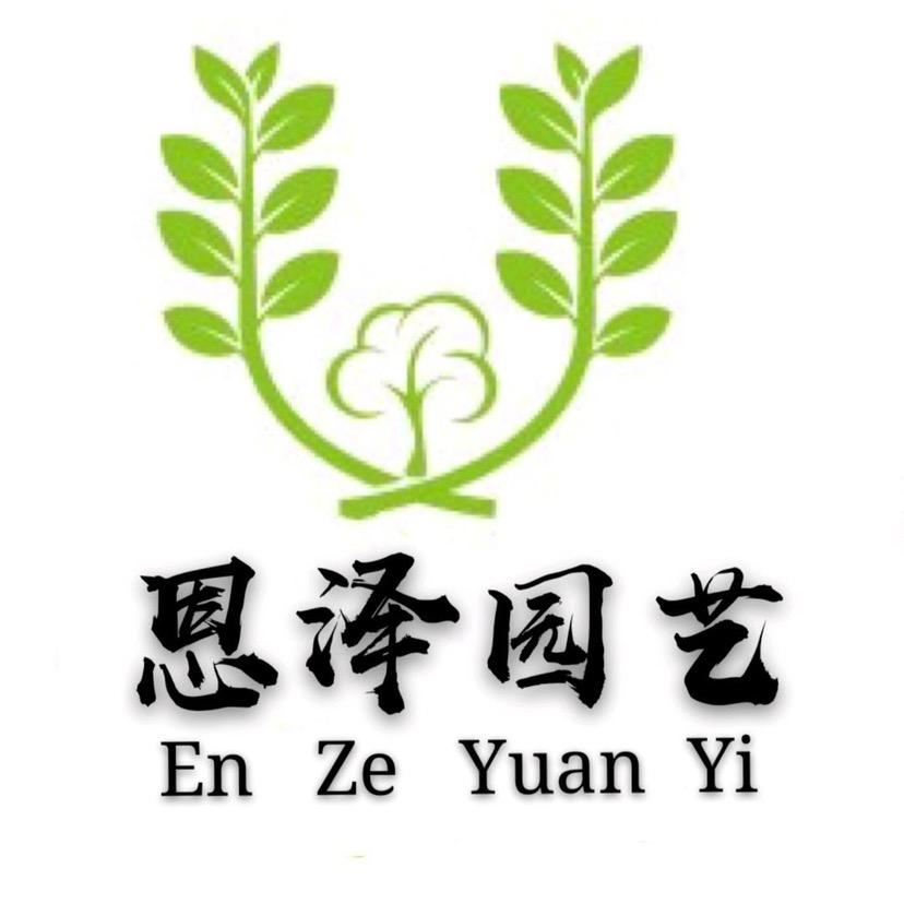 恩泽园艺@抖音