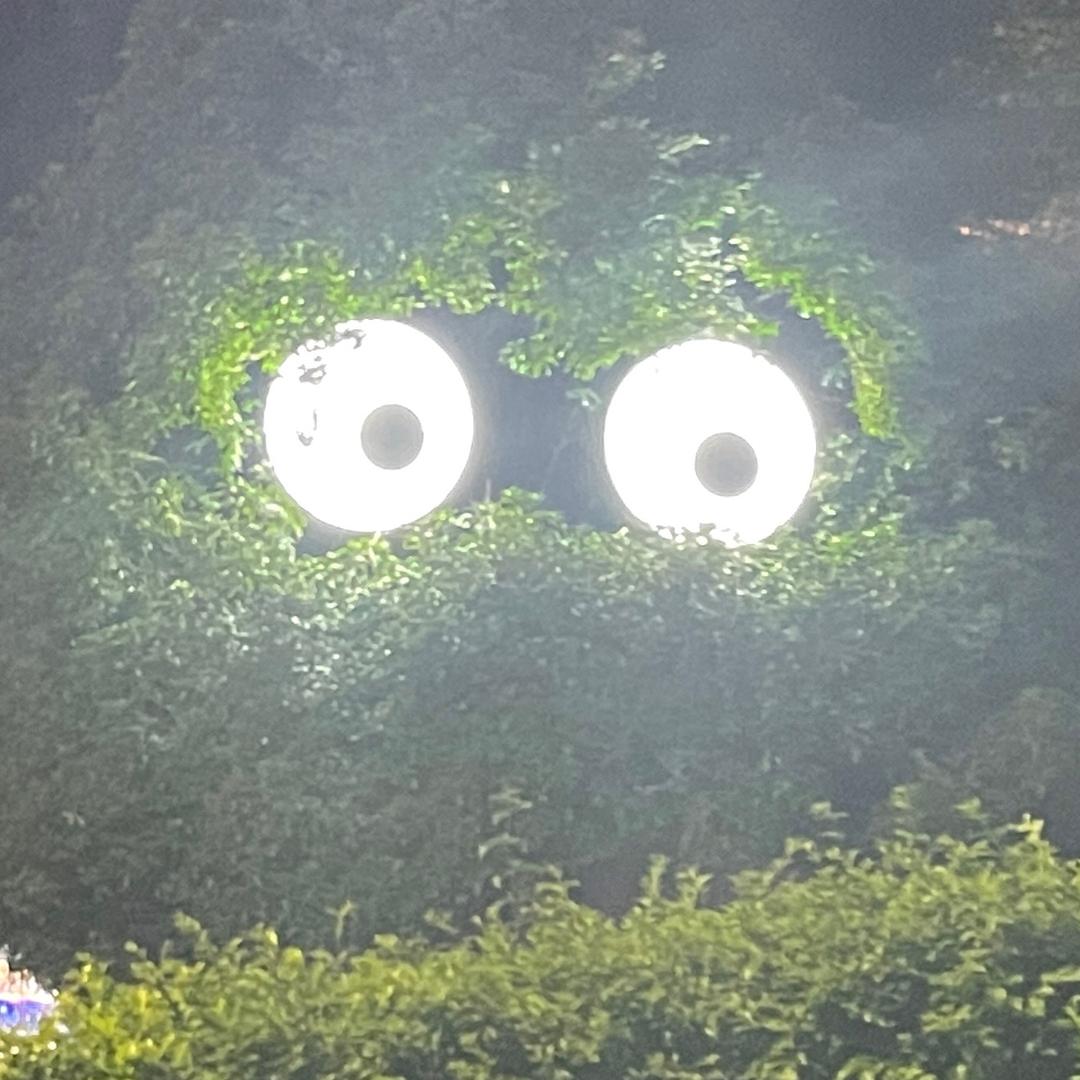 万能小糖