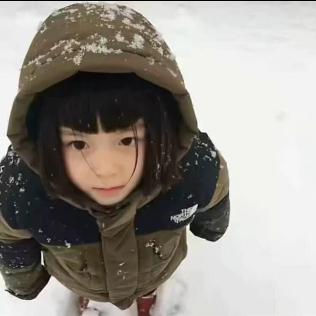 花海.