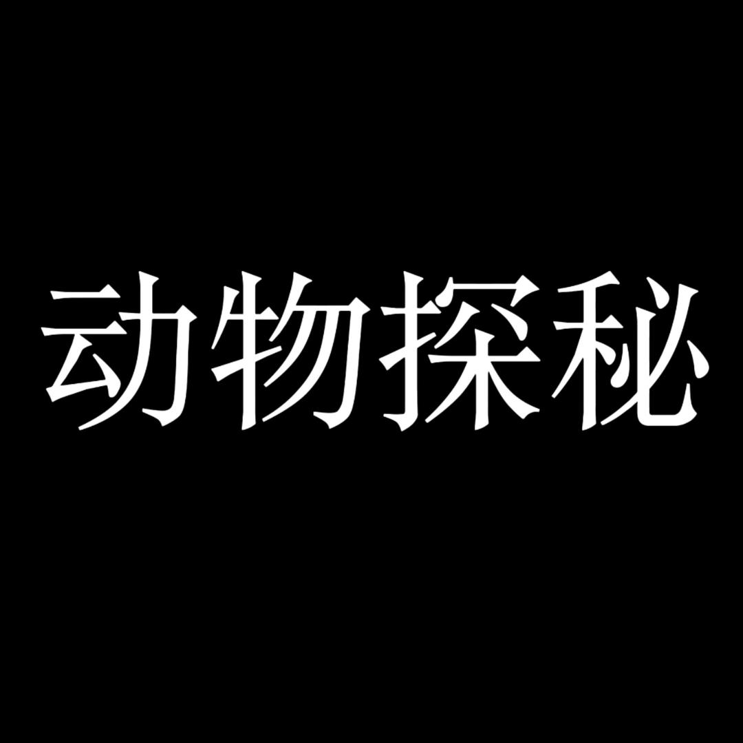 动物探秘频道
