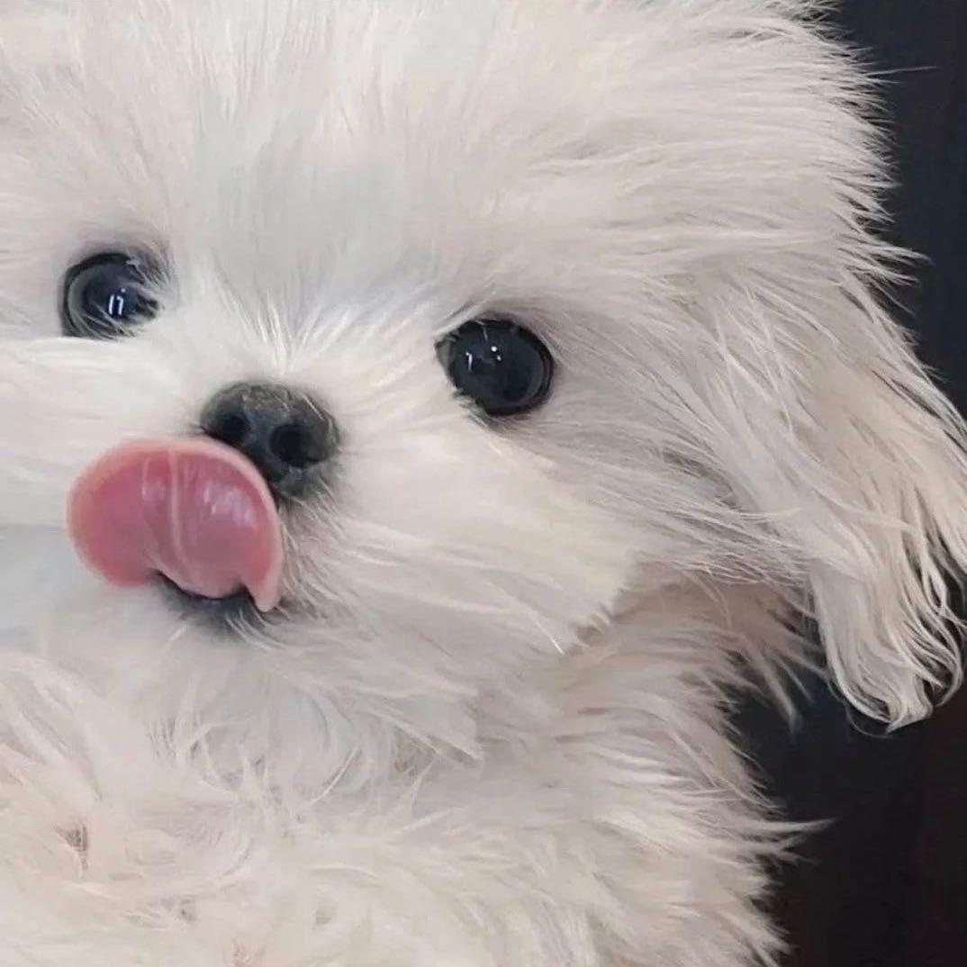 快乐修勾