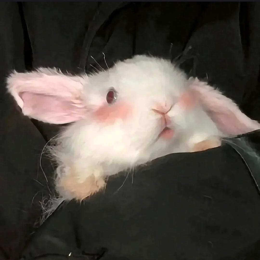 我!