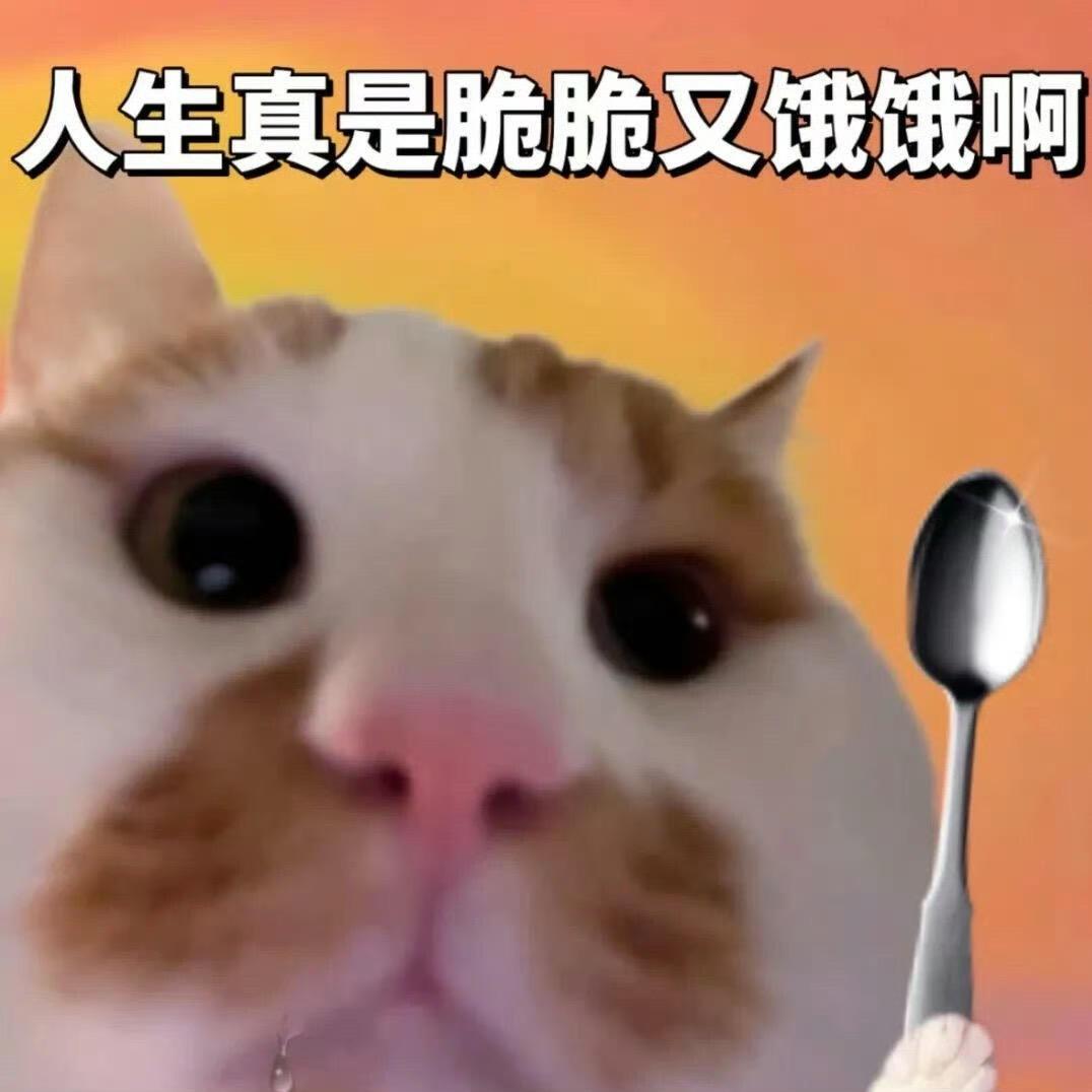 懒
