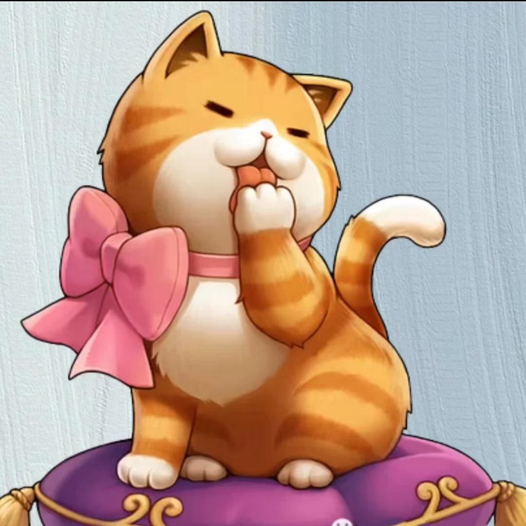 猫猫玩游戏