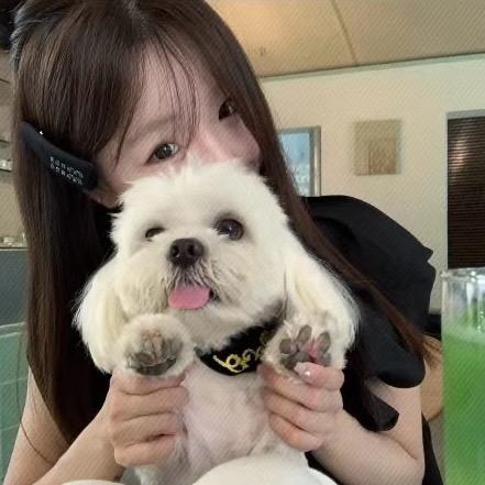 悲伤好懒丸