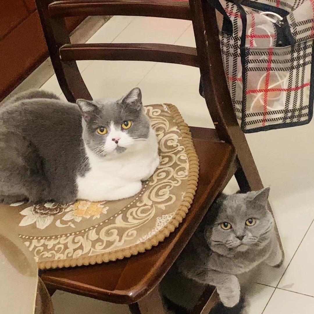 东方断桥铝门窗