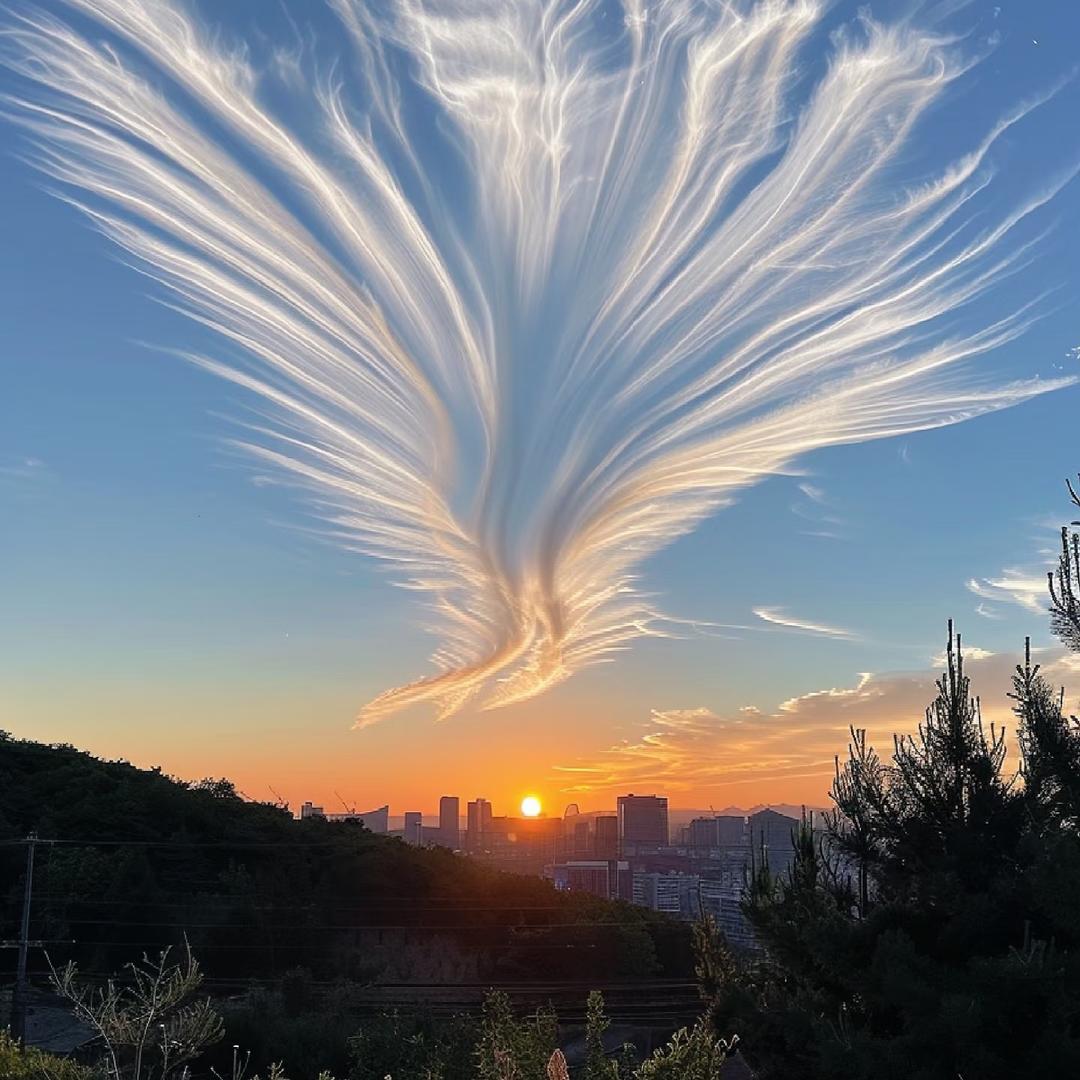 秋月 寒江