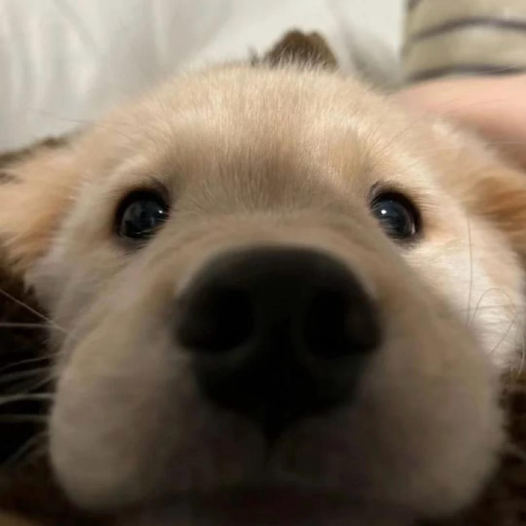 闭关