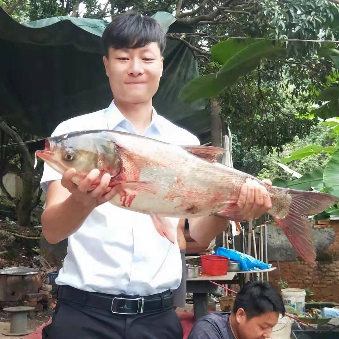 ▞▜▖▗▝ ▛▖▖▜▖▗▝ ▞