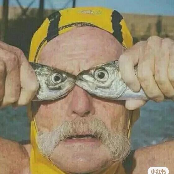 罗密欧与猪刚鬣
