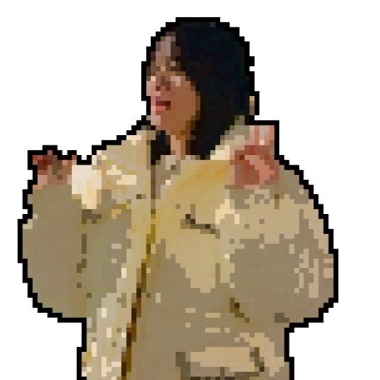 快乐的一只鸭子