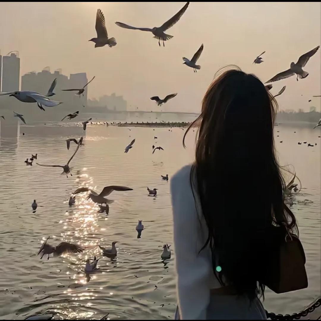 潮汕柚子
