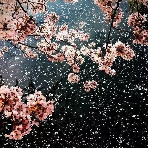超道百货商行