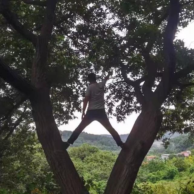 栗屿·度假民宿主理人-谭某某