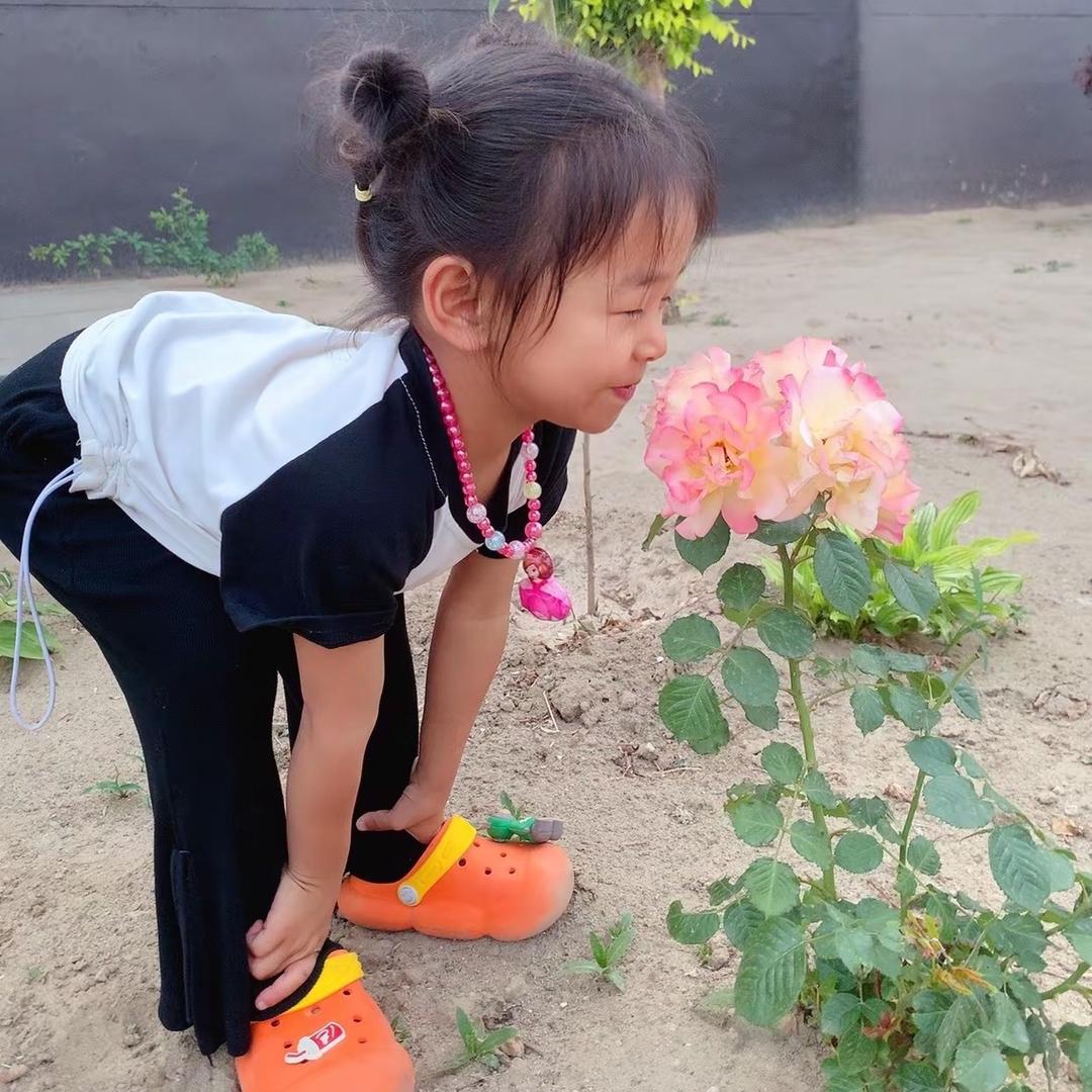 菠萝味的凤梨🍍