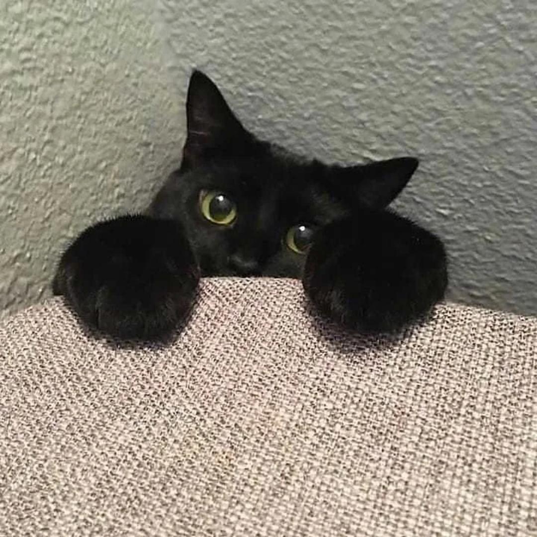 yuuuuu