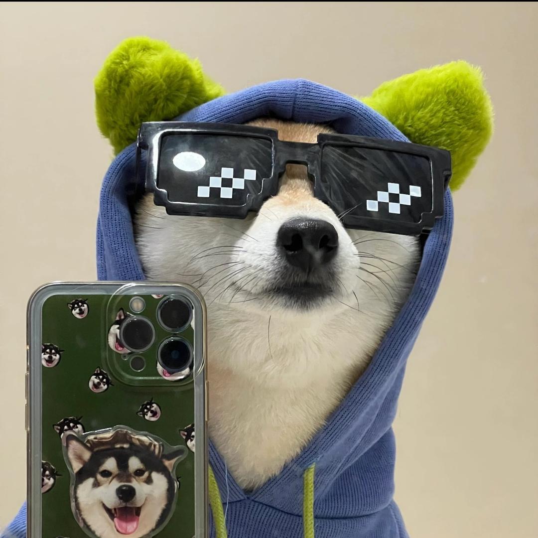 小六子