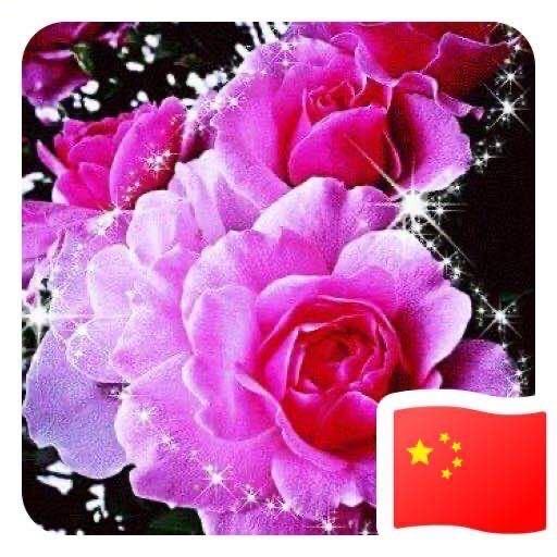 海之恋