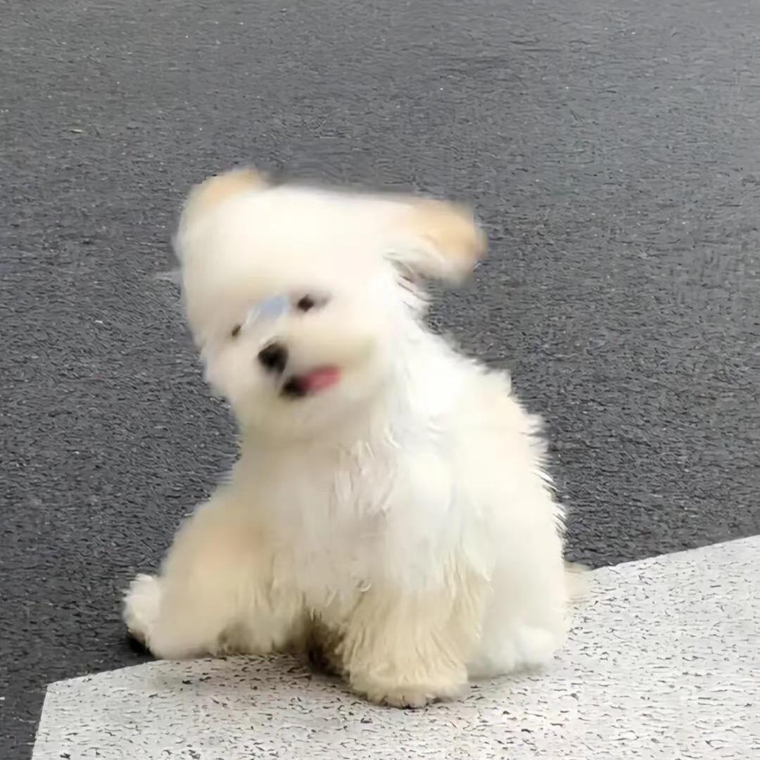 特特🌟