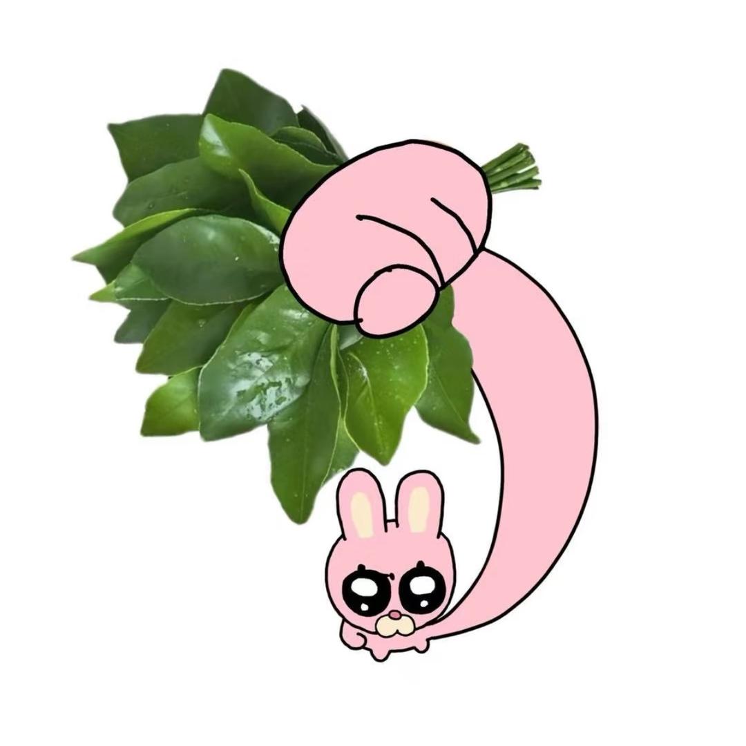 半只兔子🐰（见过汪苏泷两次版