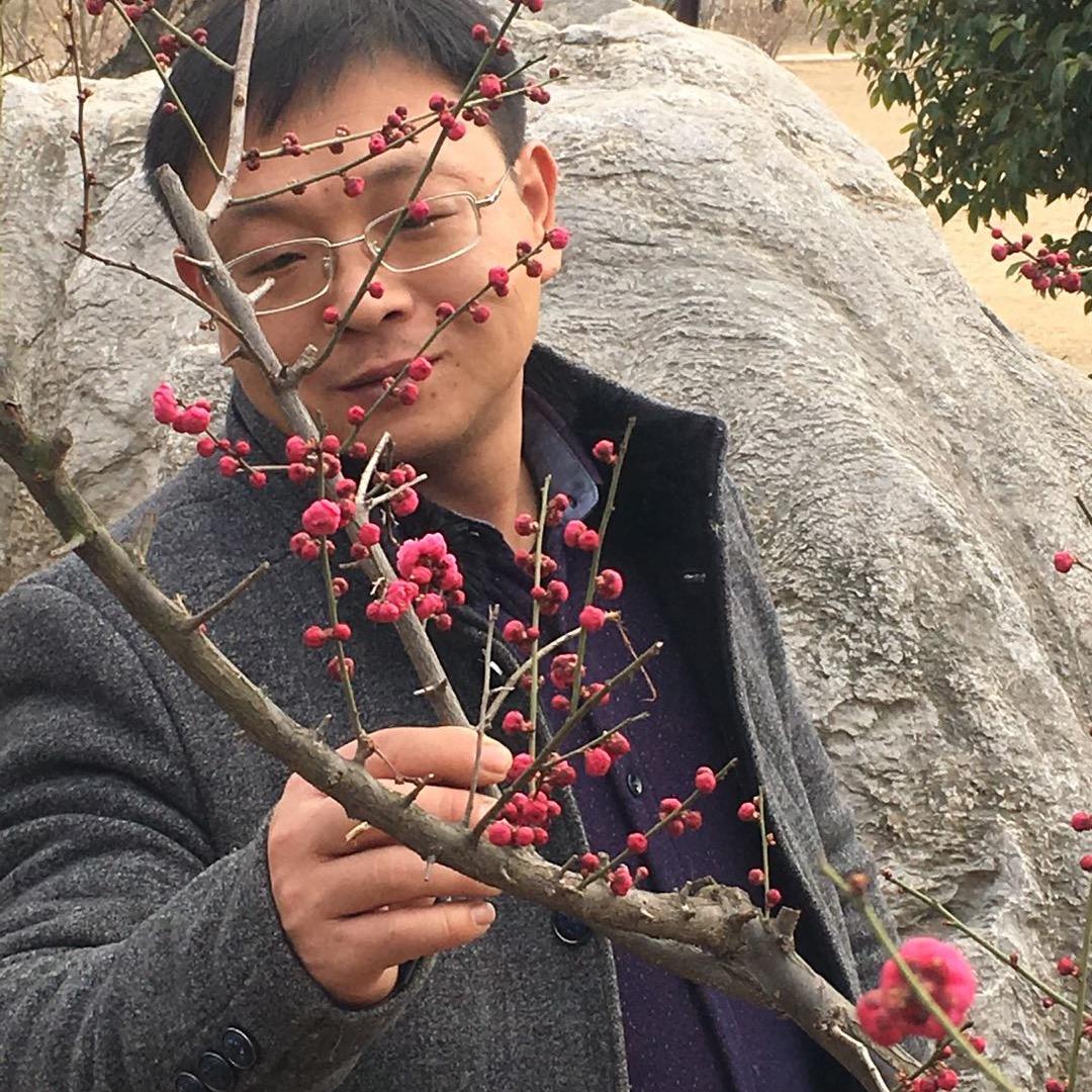 大张张