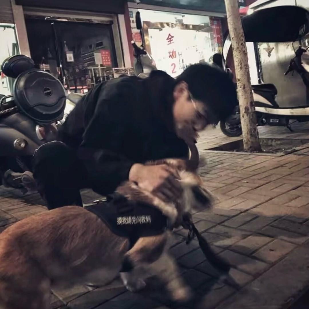 爱吃素的朙.