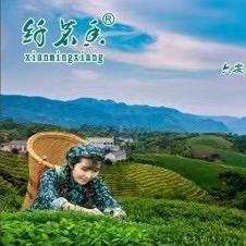 纤茗香茶叶旗舰店