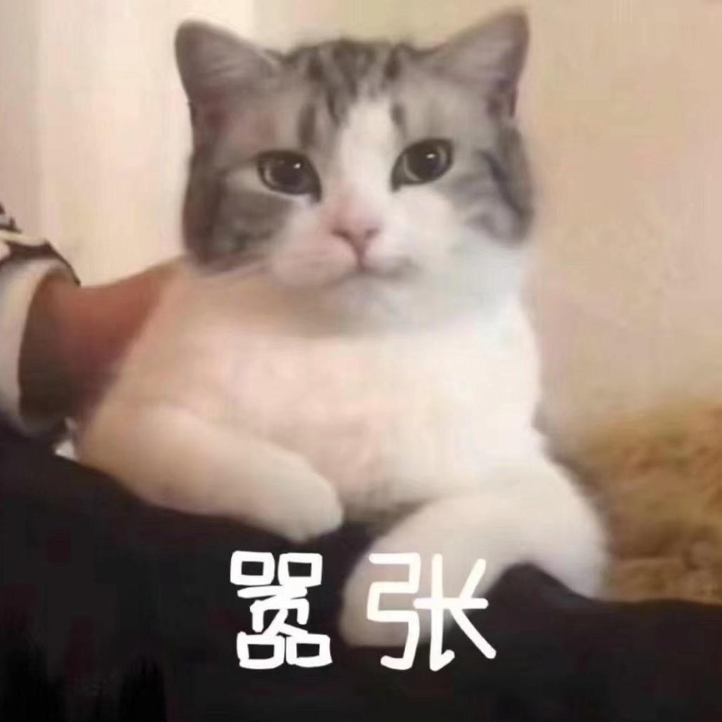 赖床协会常任理事