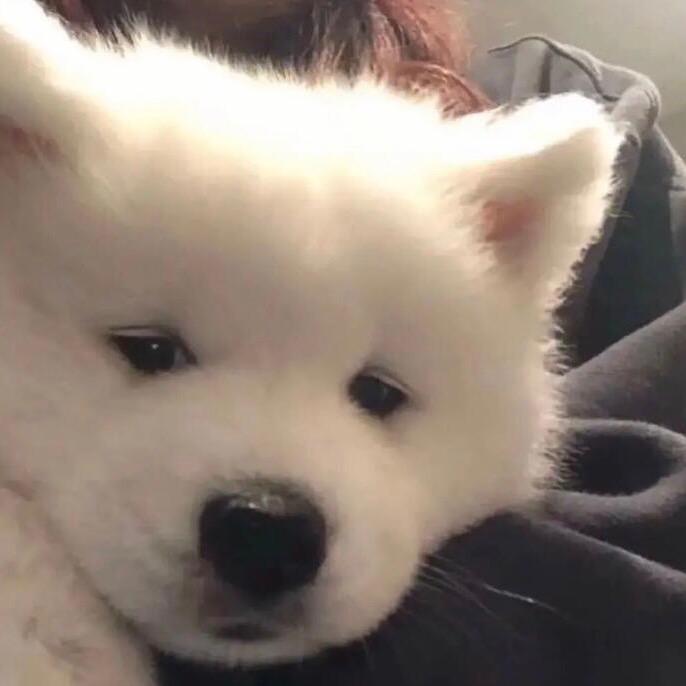 偷蟹黄堡的秘方