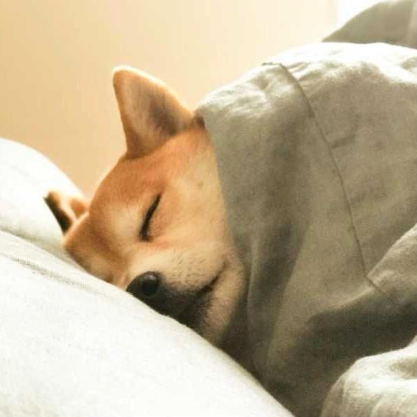 Tenki