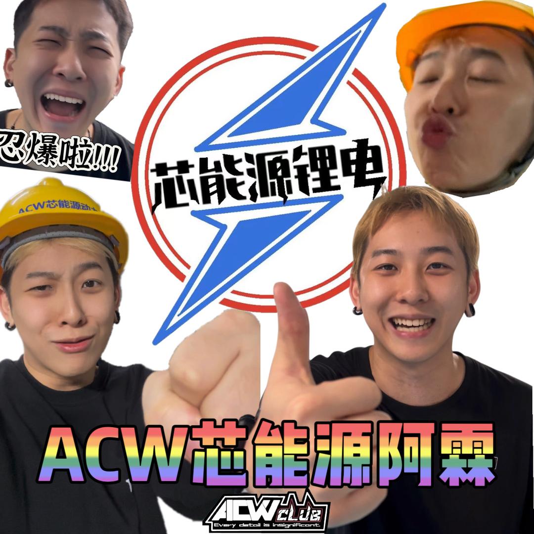 ACW芯能源锂电阿霖
