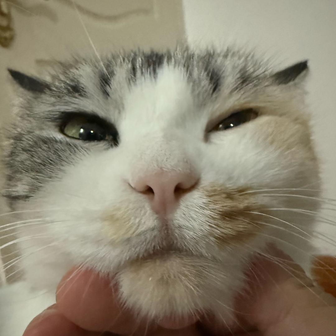 薛之谦大王