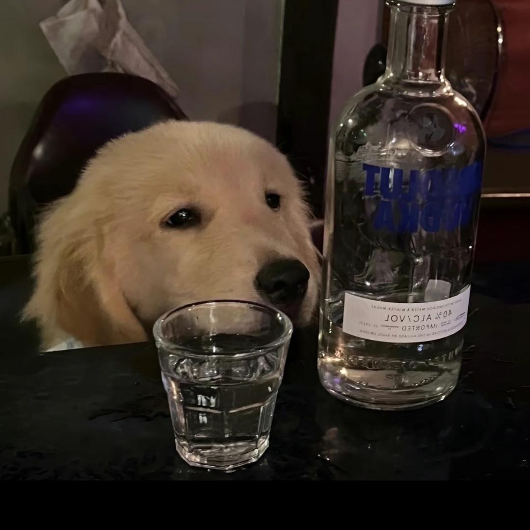 是航