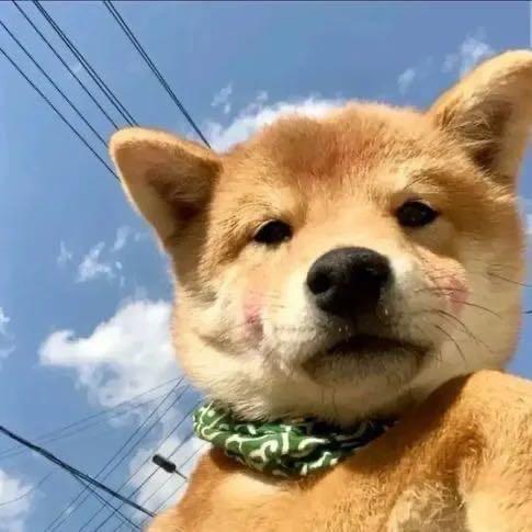 海杰不会打篮球